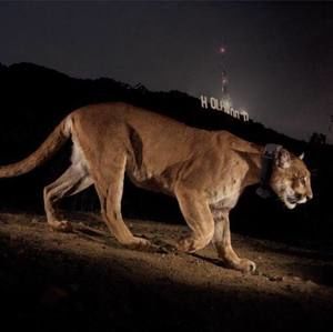 Meet your Posher, Jon